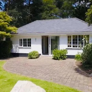 https://chadham-pines-cottage.bournemouth-hotels.org